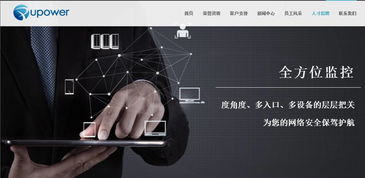 網絡與信息安全軟件開發中的滲透測試、漏洞挖掘與系統加固